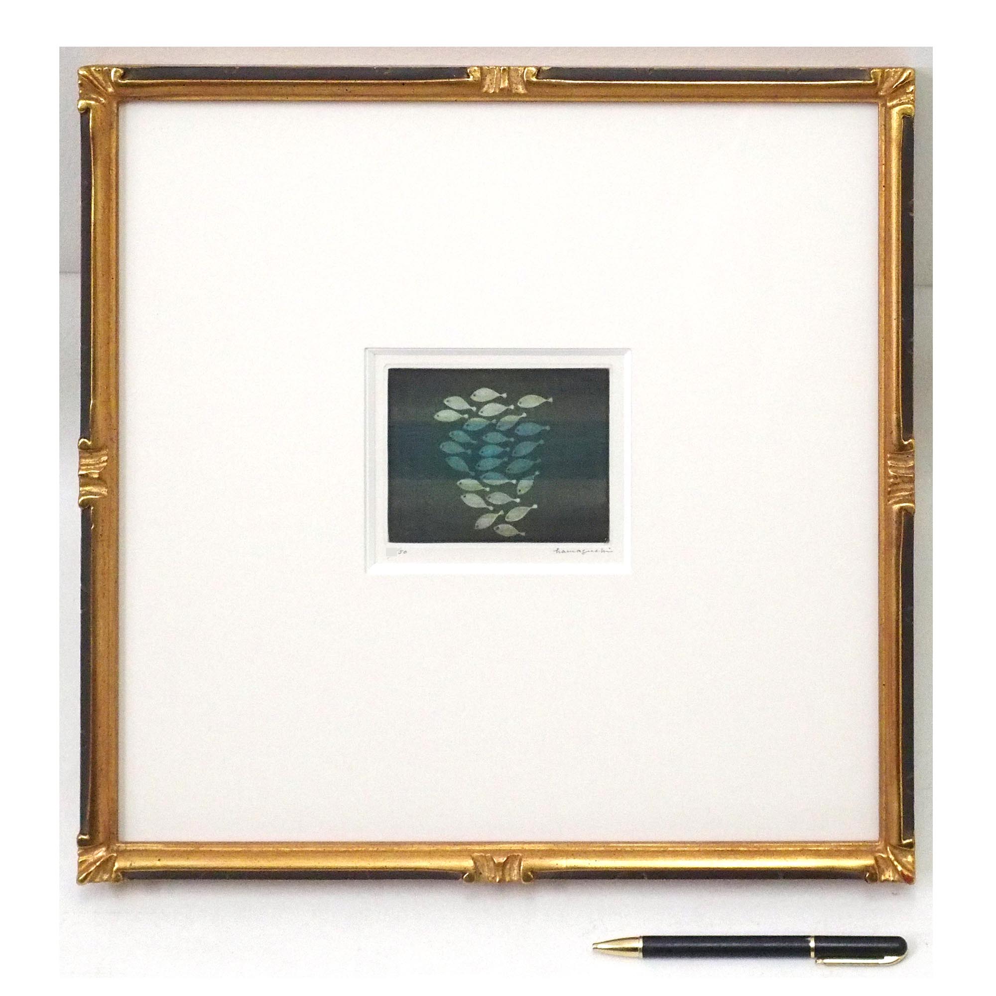 魚の拡大画像