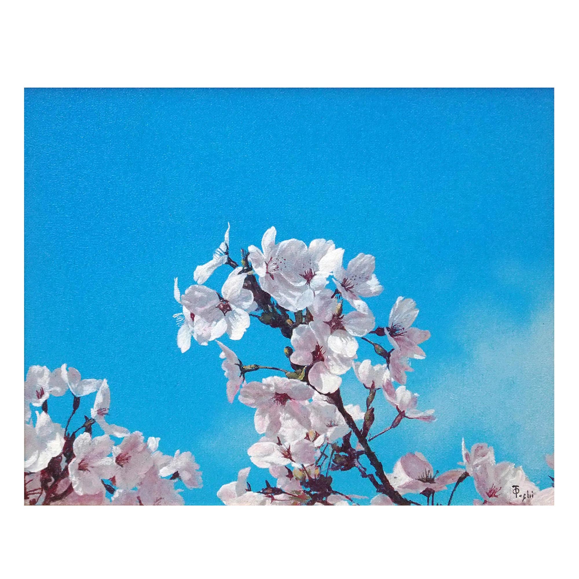 桜の詳細画像2