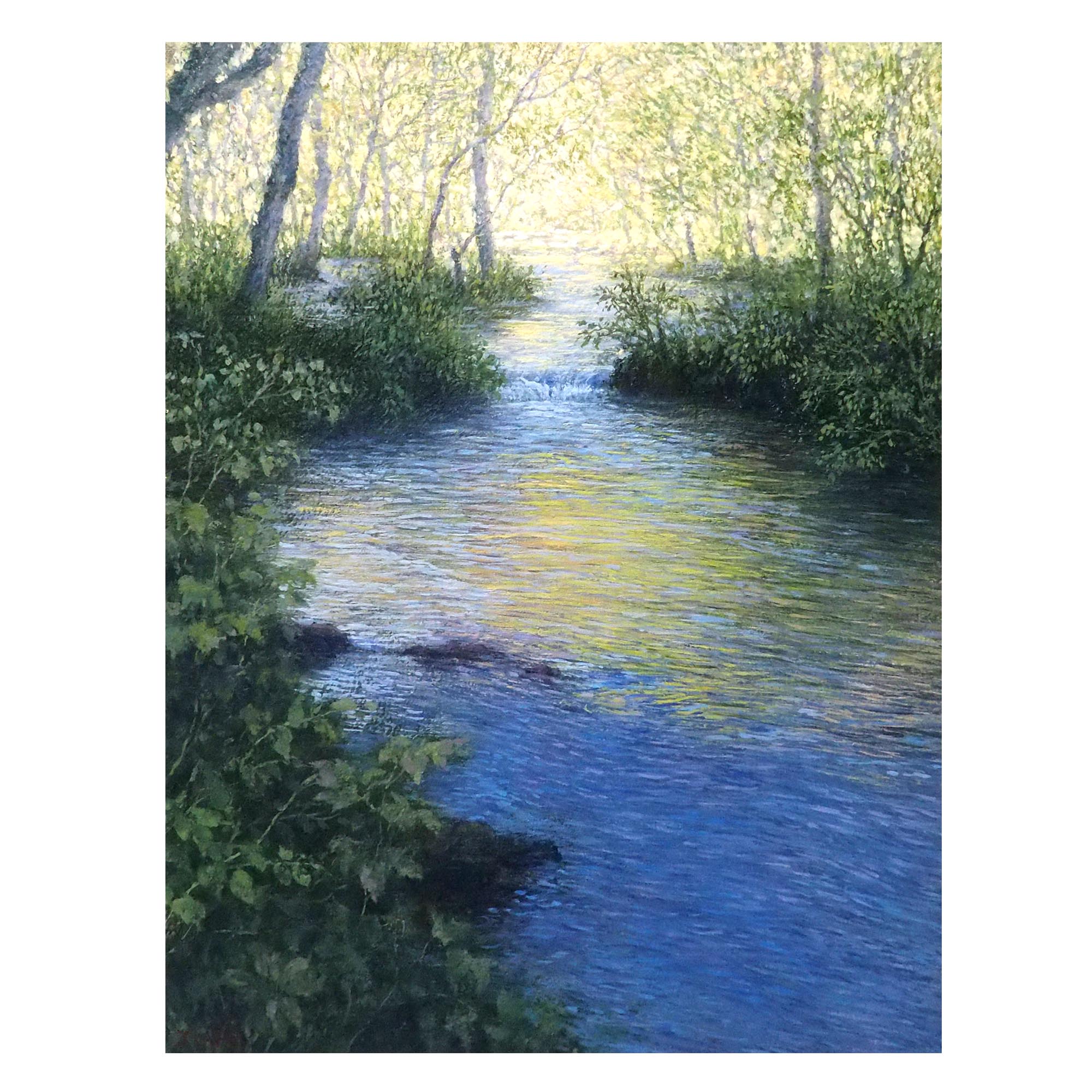奥入瀬の光景の詳細画像2