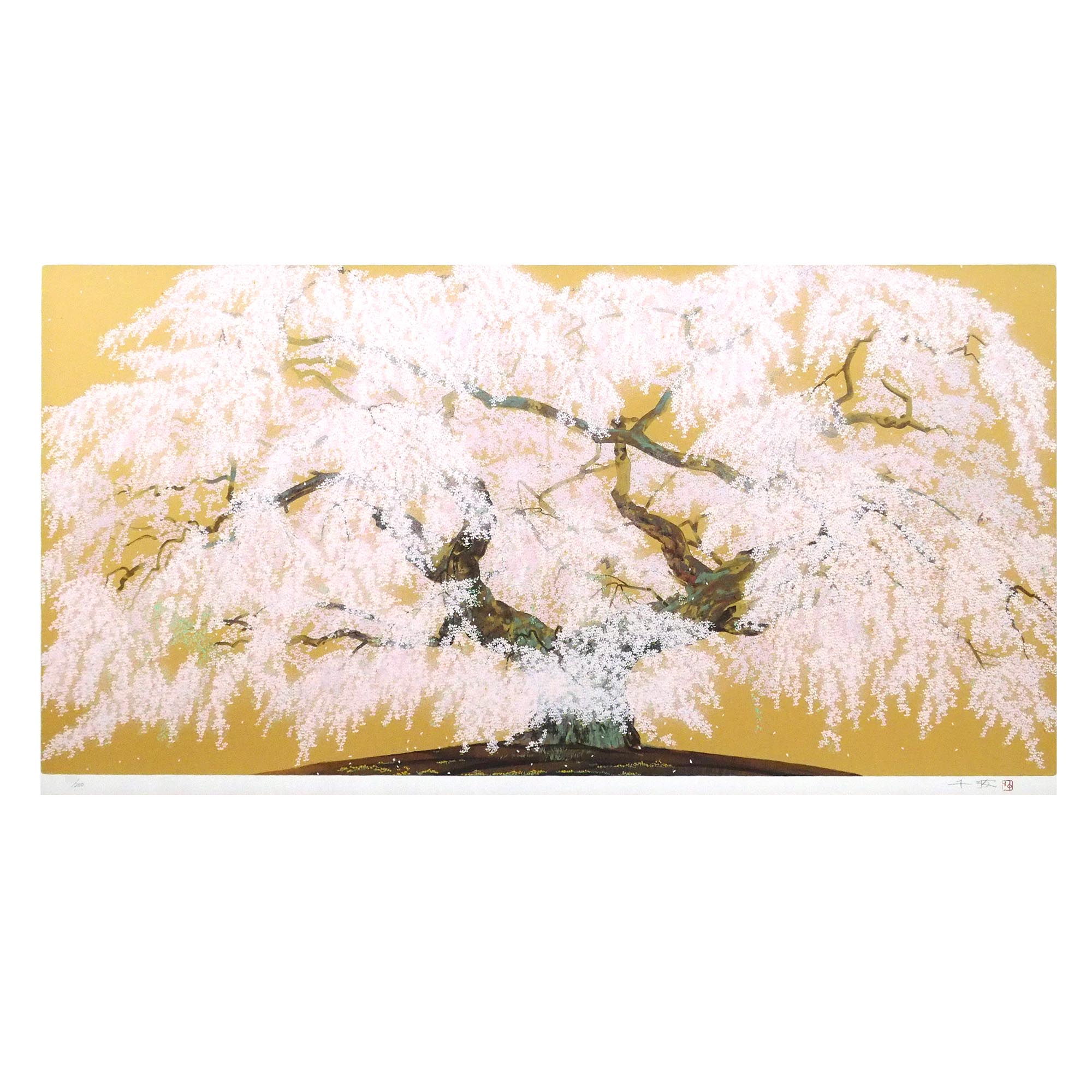 般若院枝垂桜絢爛の詳細画像2