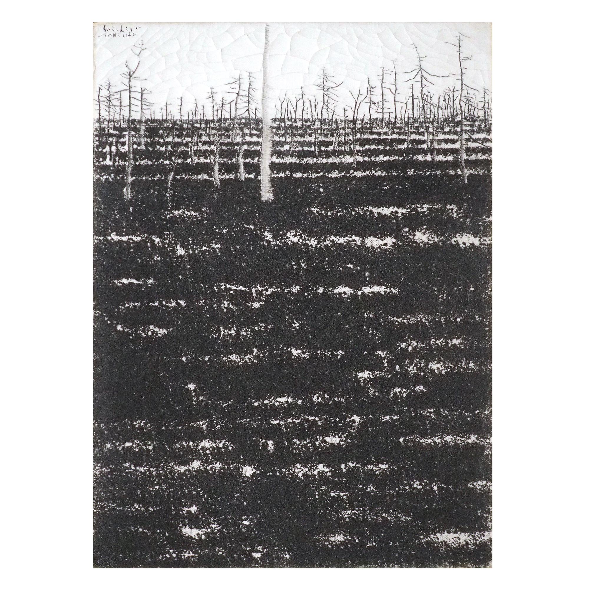 冬 北海道 野付半島 トドワラの詳細画像2