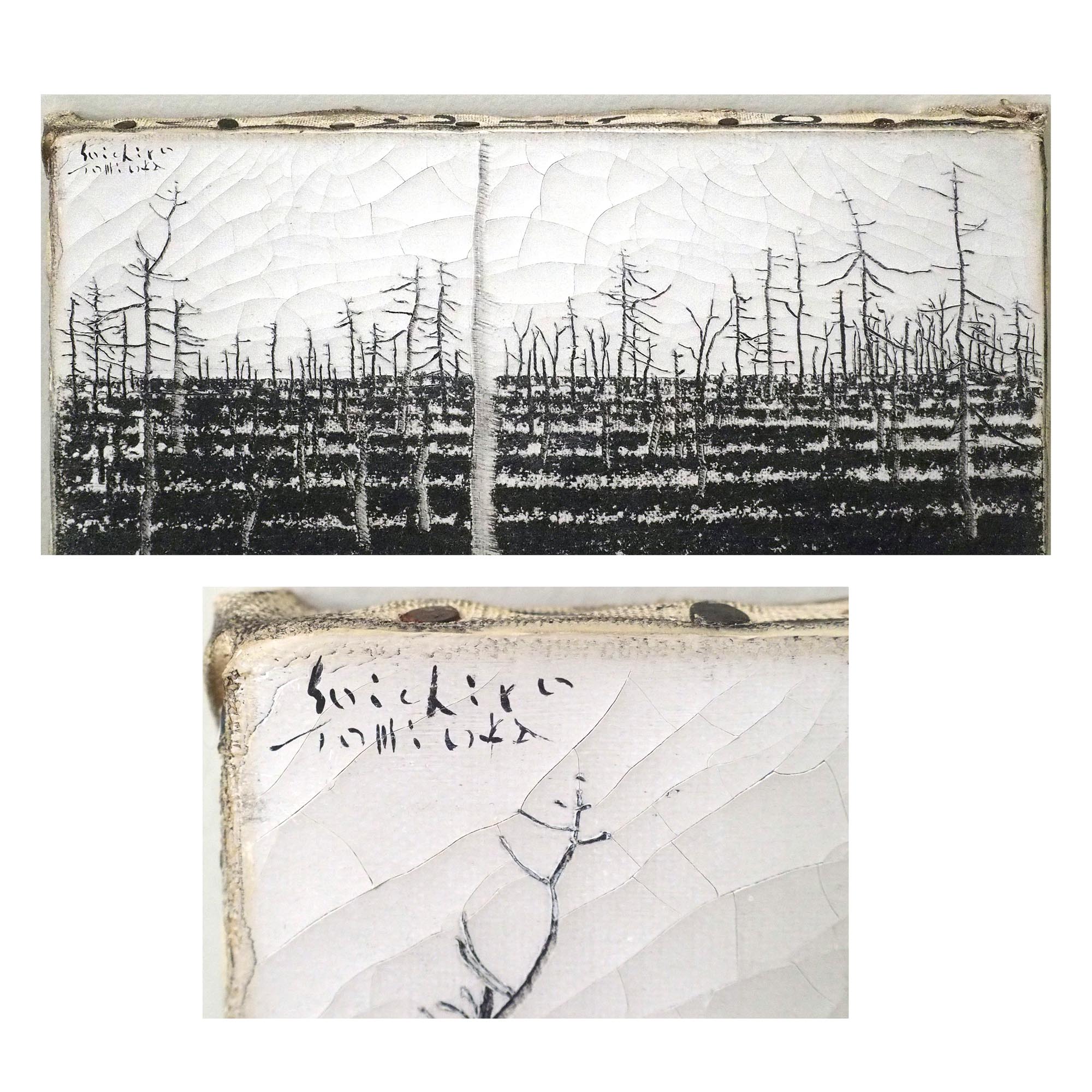 冬 北海道 野付半島 トドワラの詳細画像3