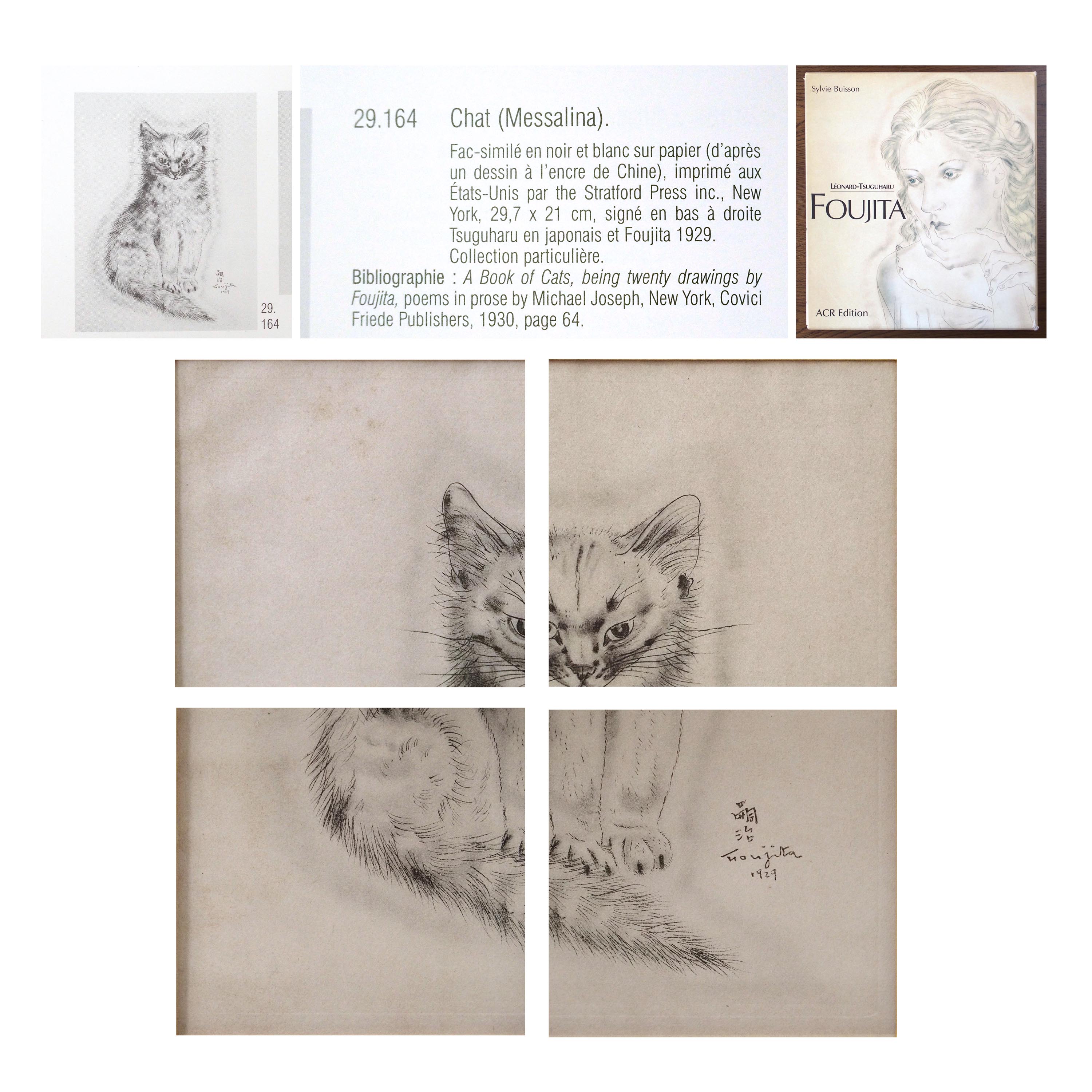 「メッサリーナ」猫の本よりの詳細画像3