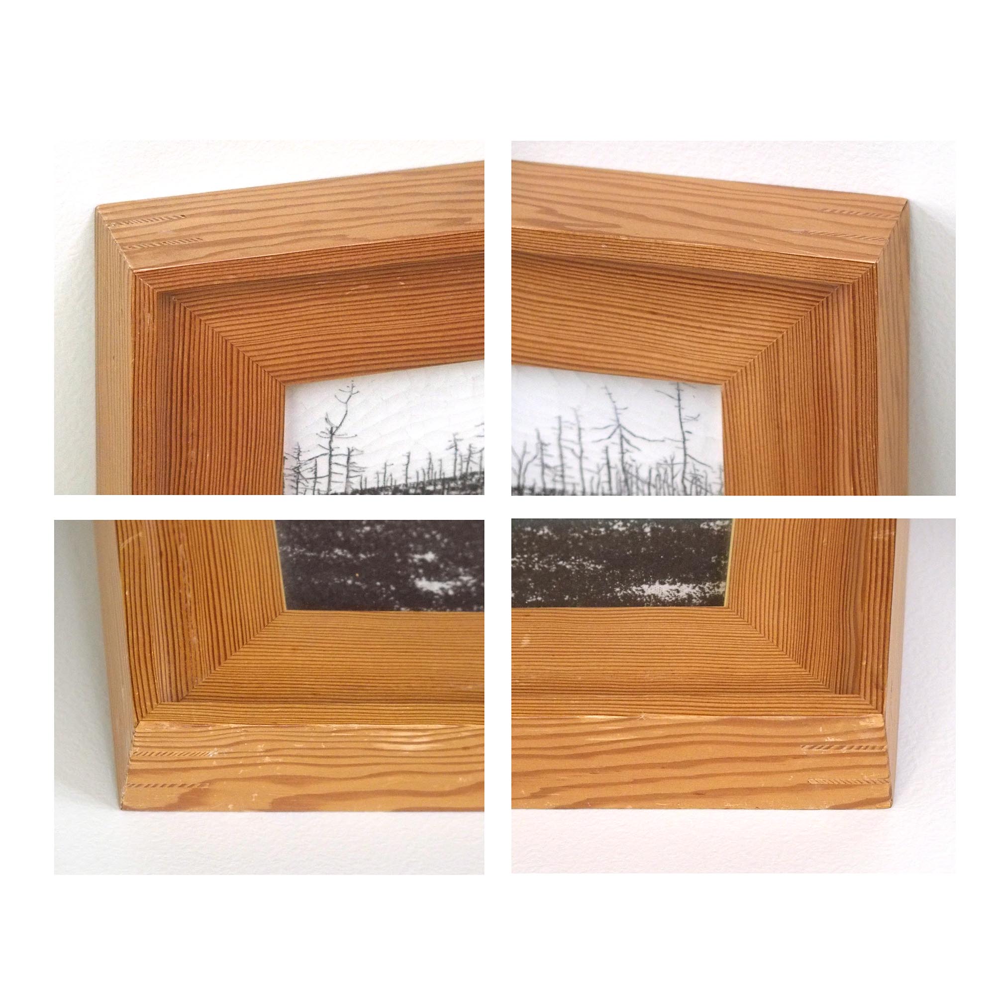 冬 北海道 野付半島 トドワラの詳細画像5