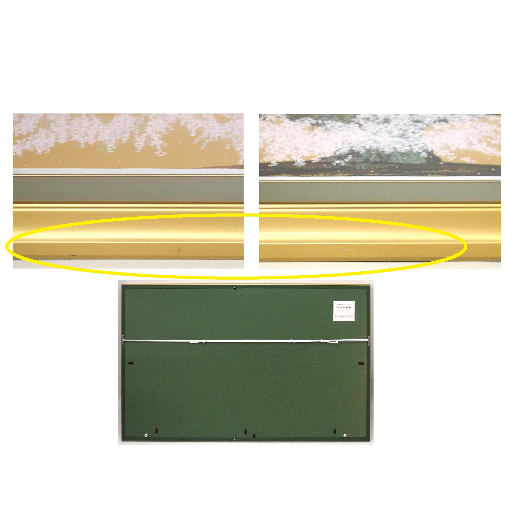 般若院枝垂桜絢爛の詳細画像6