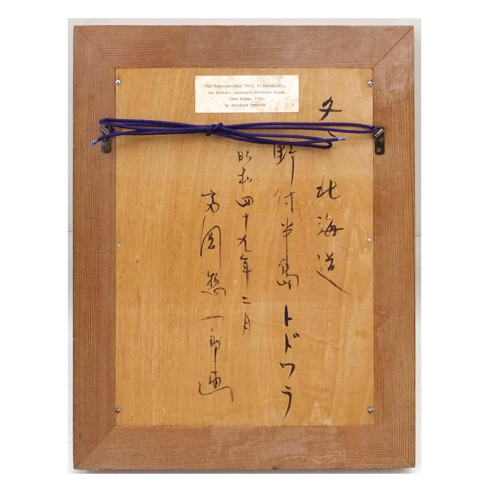 冬 北海道 野付半島 トドワラの詳細画像6