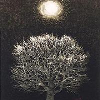 月と木